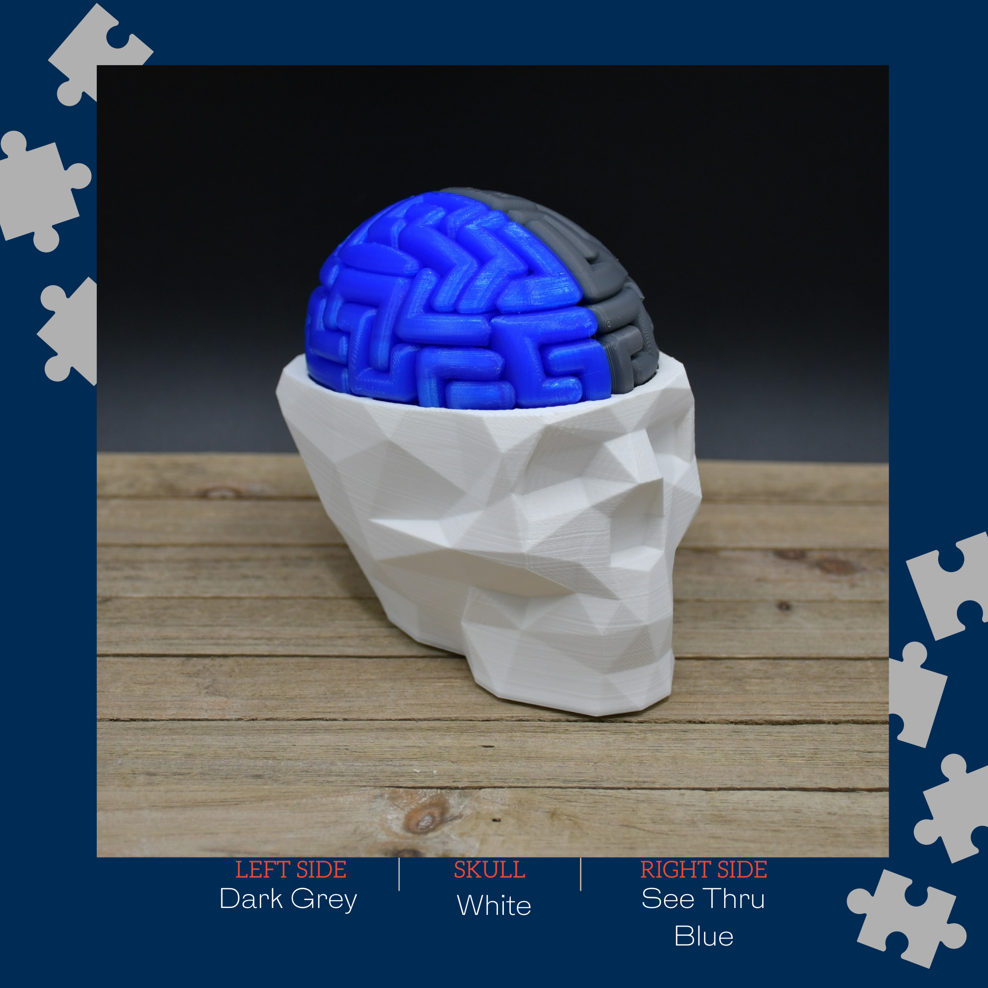 3D Brain Puzzle / 3D 🧠 Puzzle 28 Left Brain Pieces & 28 Right